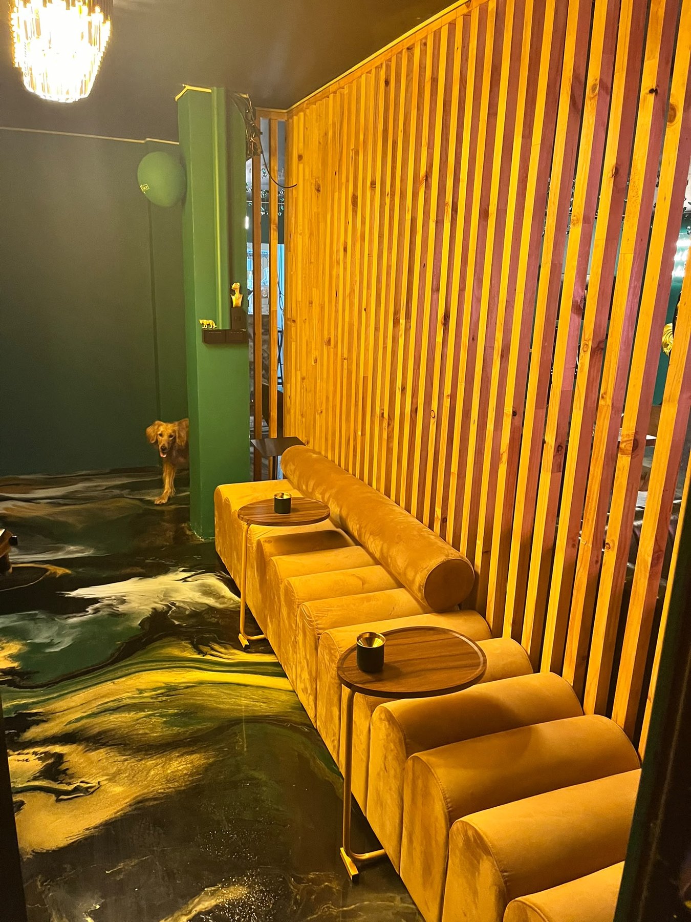 The Voice Karaoke & Lounge completed venue 12